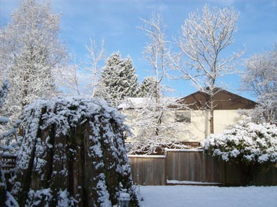 snow in april in the backyard